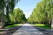 The Ming Tombs