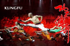 Chinese KungFu Show